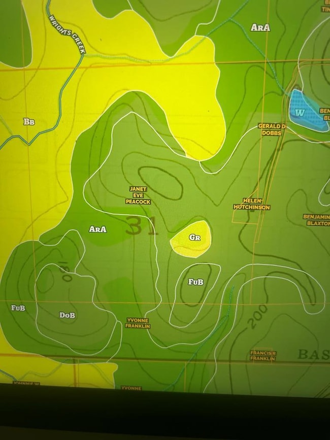 923 Lakeview Rd (159+-Ac), Slocomb, AL 36375 - photo 4