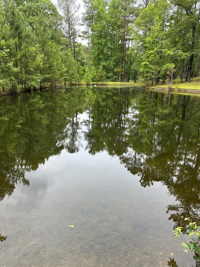 12200 County Line Rd, Midland, GA 31820 - photo 3