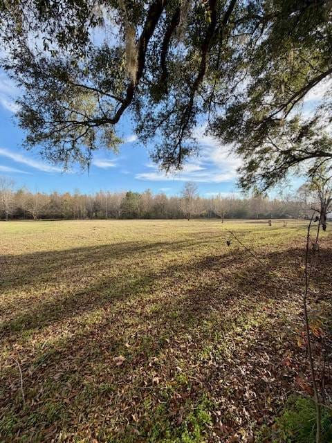 336 Beach Rd, Camden, AL 36726 - photo 4