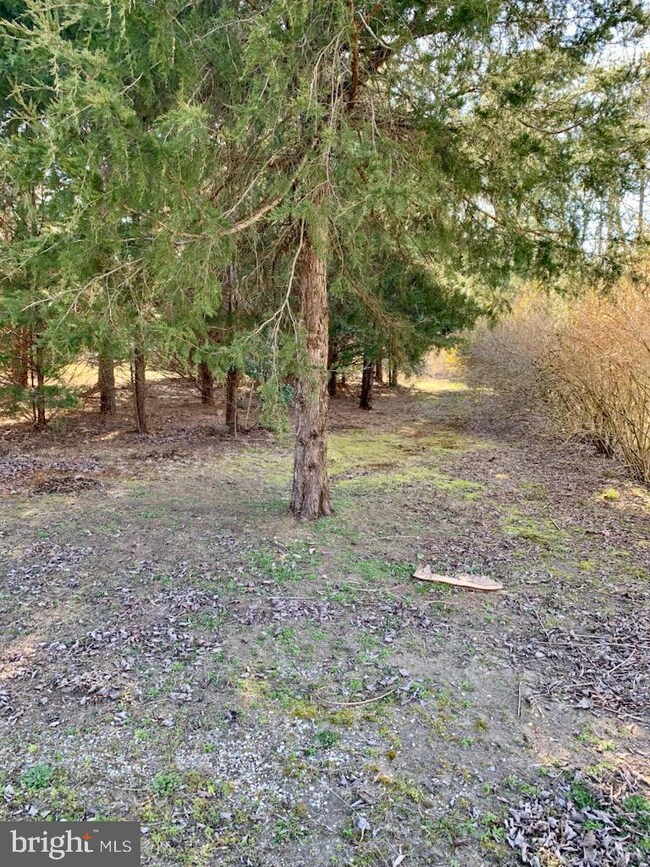 0 Willow Grove Rd unit NJGL2027114, Monroeville, NJ 08343 - photo 4