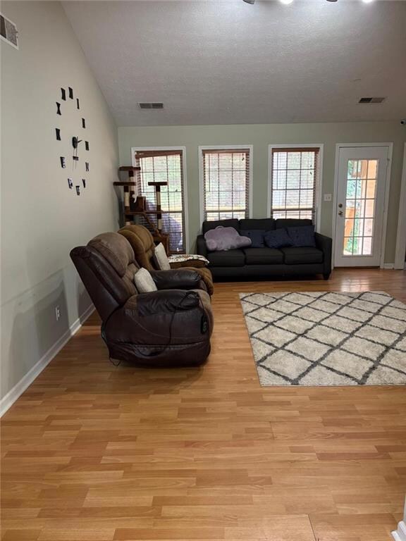 Living room with wood finished floors, a textured ceiling, and plenty of natural light