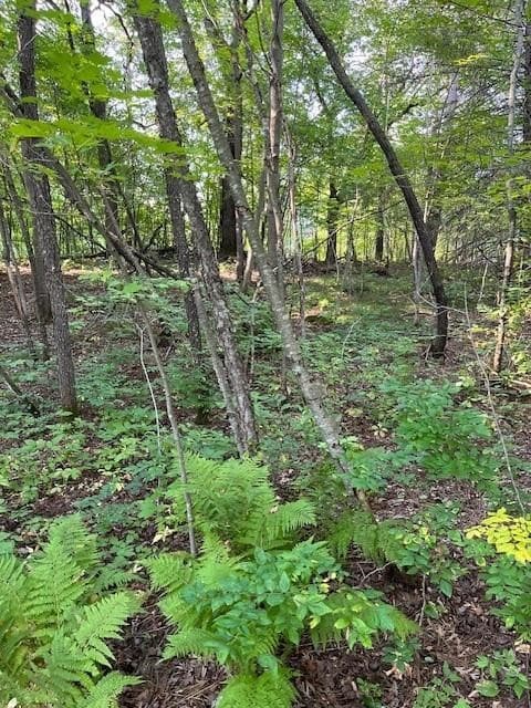 14405 255th Ave, Sampson, WI 54757 - photo 6