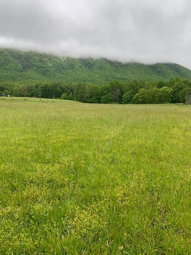 Lt 15 Old Mountain Rd, Greeneville, TN 37743 - photo 5