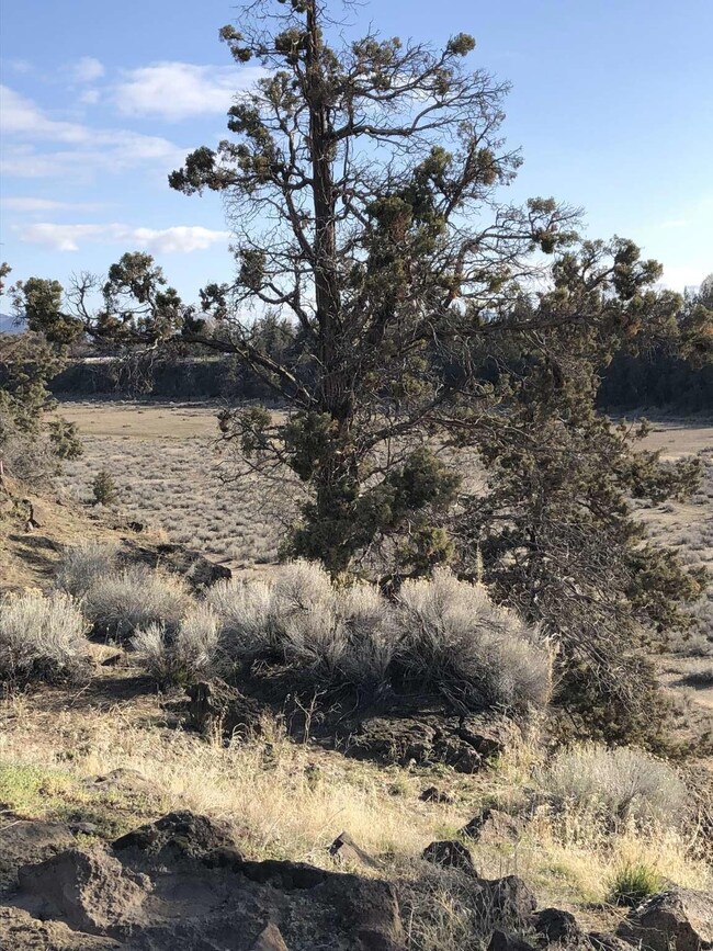 776 NW 13th St, Redmond, OR 97756 - photo 3