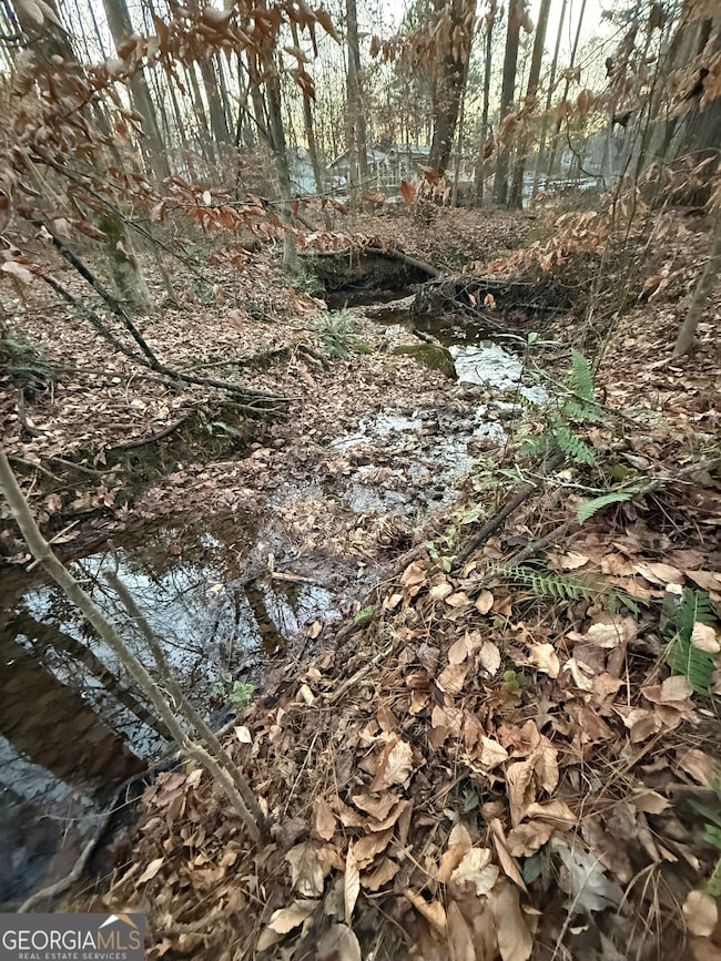 0 Marty Ln unit 10655711, Dallas, GA 30132 - photo 3