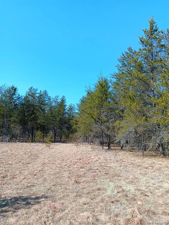 0000 Cedar Creek Rd, Wellston, MI 49689 - photo 6