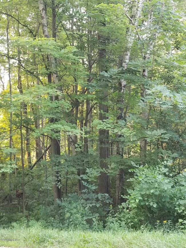 3 - Copy