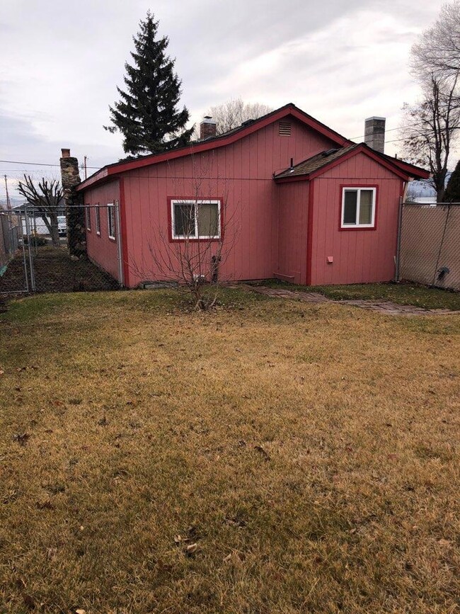 231 Martin St. Kennel