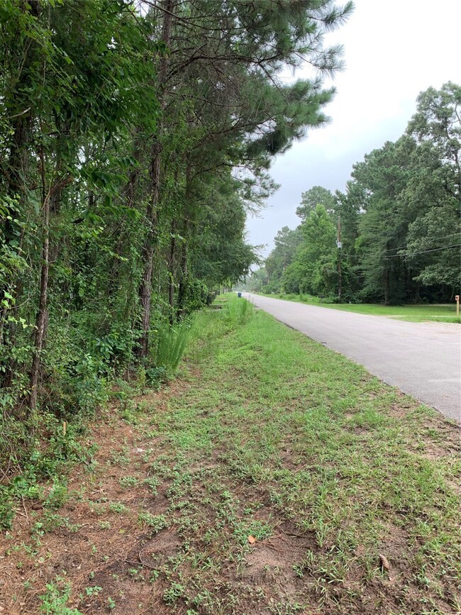 23906 Brushy Trails St, Hockley, TX 77447 - photo 3