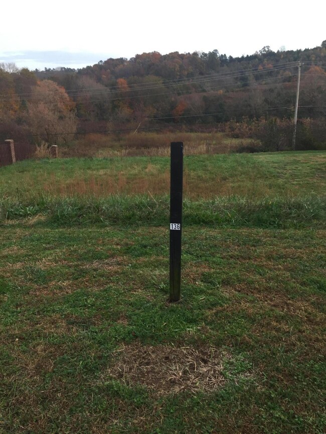 12336 Connor Springs Ln, Knoxville, TN 37932 - photo 3