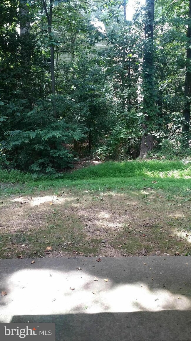 2206 Castle Rock Square unit 2B, Reston, VA 20191 - photo 3