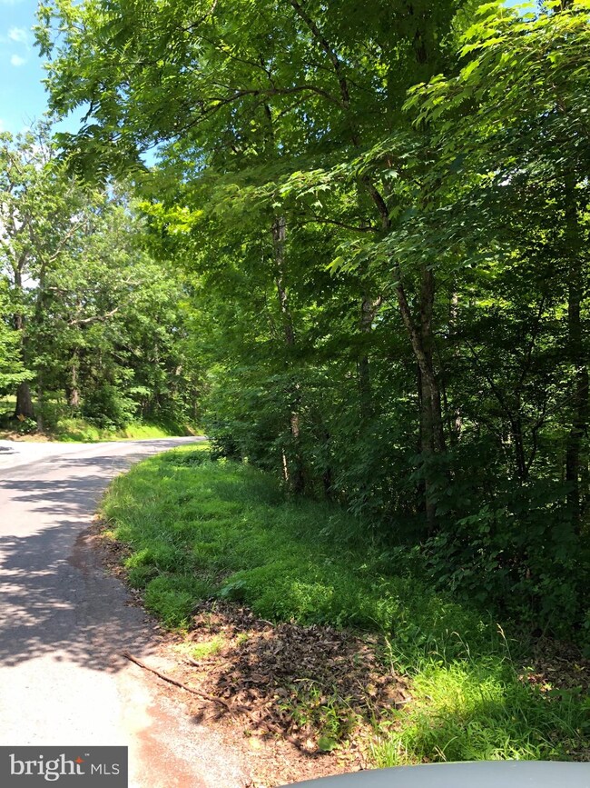 0 Virginia Line Rd unit WVMO115566, Berkeley Springs, WV 25411 - photo 4