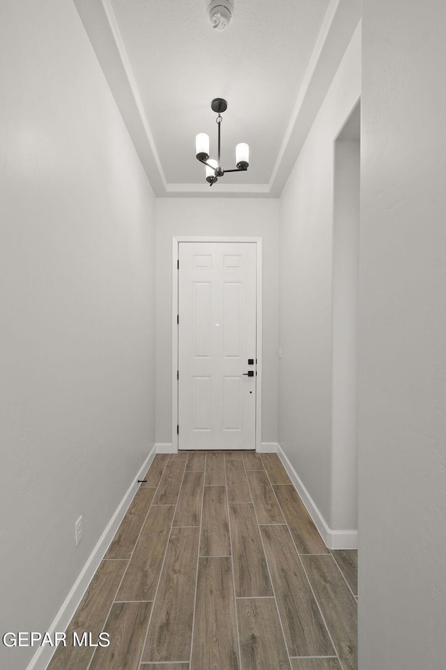 2-web-or-mls-IMG_7357