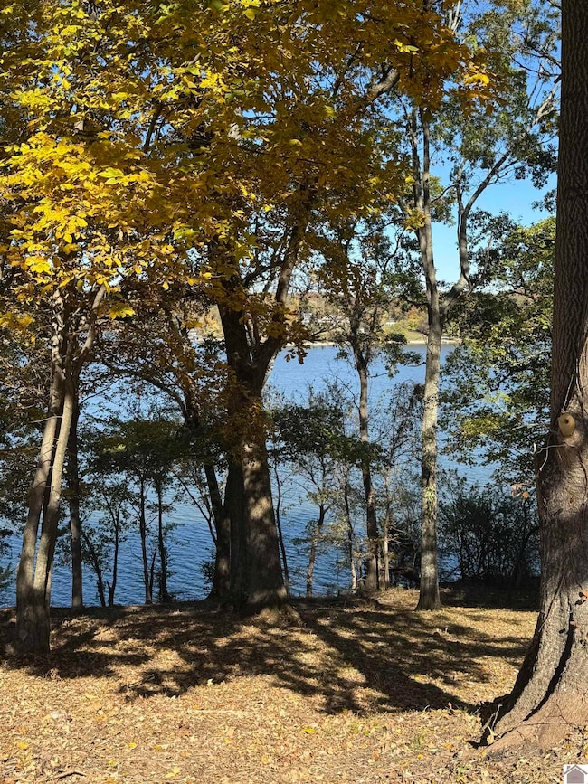 Lot 57 Rimcrest Cir unit Also known as Cheekw, Cadiz, KY 42211 - photo 6