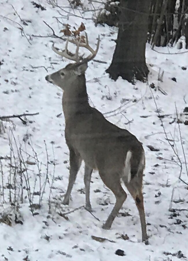 3877 Pemberton Dr SE unit 18, Grand Rapids, MI 49508 - photo 5