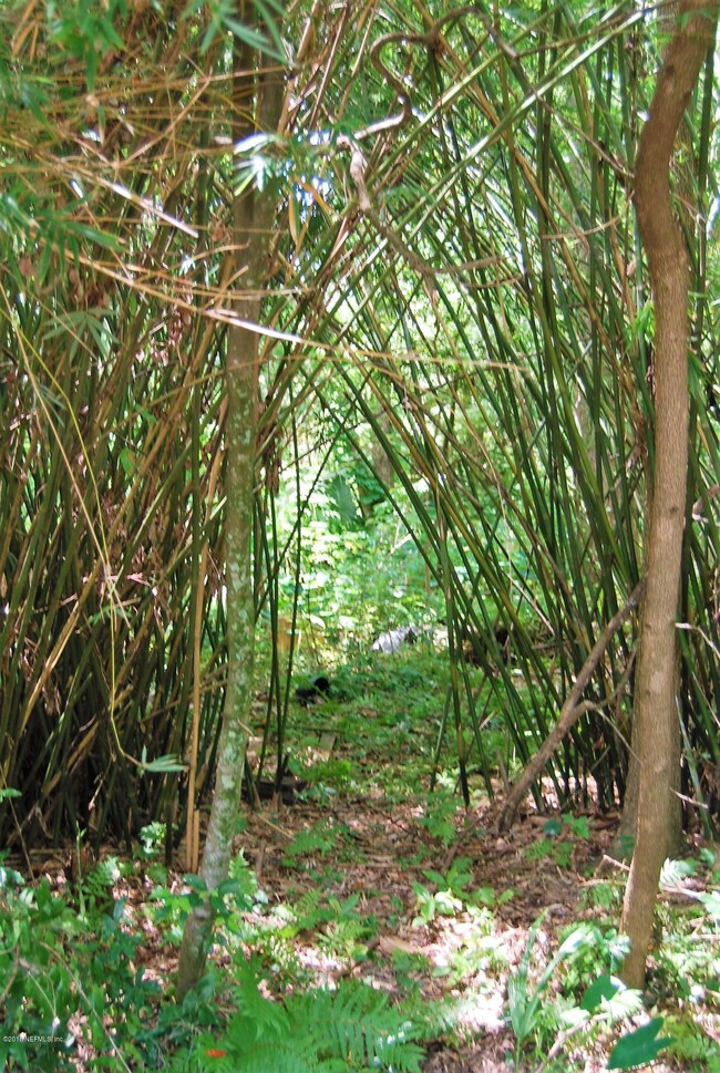 0 Lamboll Ave unit 947419, Jacksonville, FL 32205 - photo 2