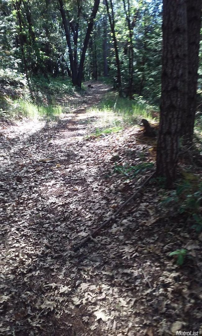 20676 Spring Garden Rd, Foresthill, CA 95631 - photo 5