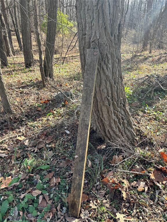 00 Faussett Rd, Tyrone Township, MI 48430 - photo 5