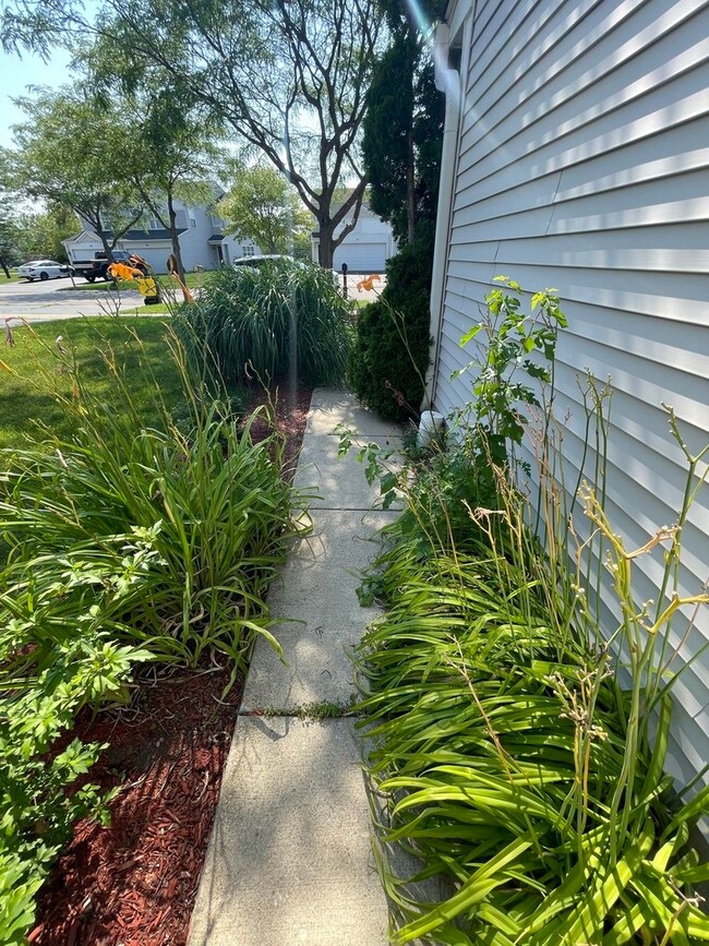 490 Wedgewood Cir unit 3, Lake In the Hills, IL 60156 - photo 5