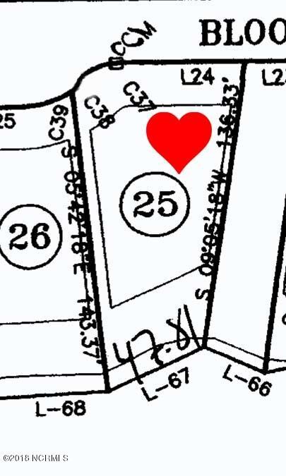 7057 Bloomsbury Ct SW, Ocean Isle Beach, NC 28469 - photo 2