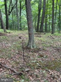 0 Silvercreek Ln unit WVMO2003390, Berkeley Springs, WV 25411 - photo 4