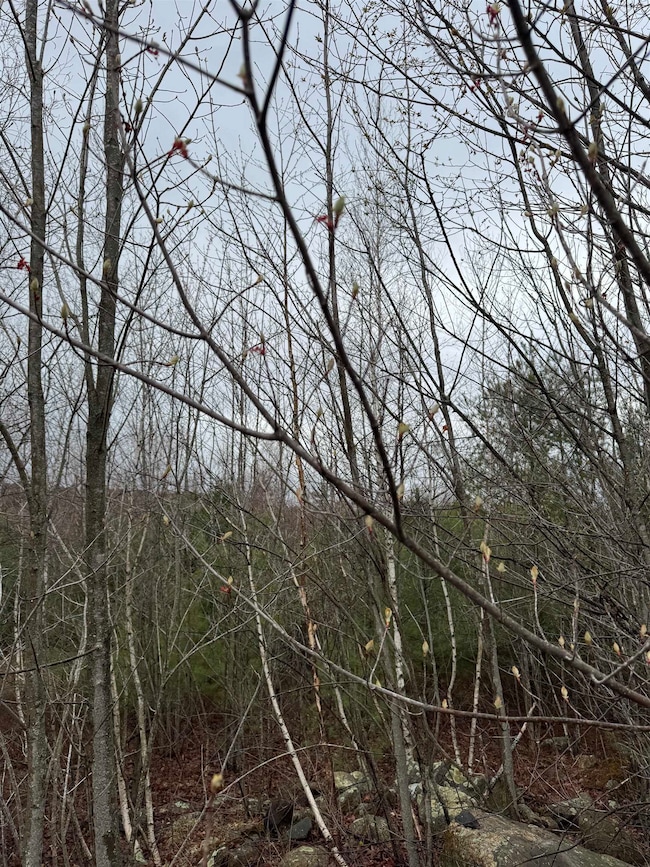 TBD Mason Rd, Milton, NH 03851 - photo 5