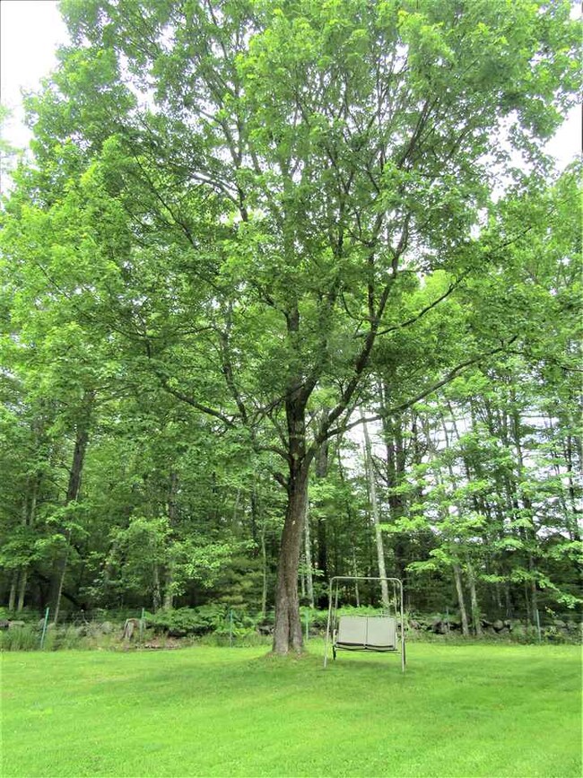 Large fenced in back yard