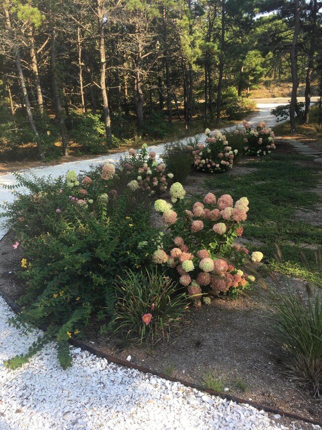 late summer