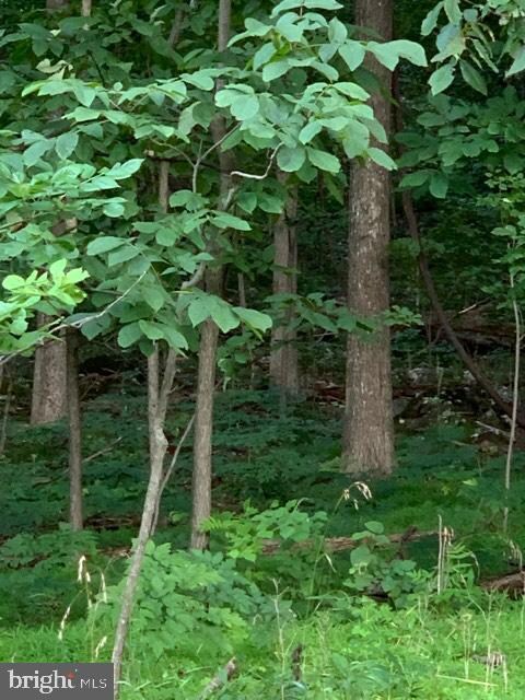 0 Wilderness Rd unit VAWR137604, Linden, VA 22642 - photo 5