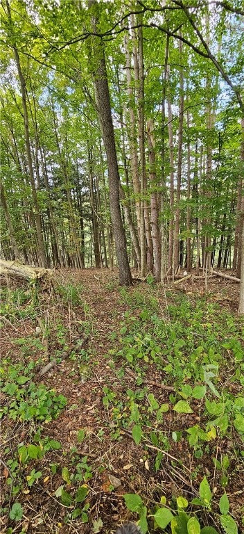 0 Lafayette Rd, Groton, NY 13073 - photo 7