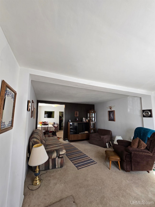 56711 Hecla St, Calumet, MI 49913 - photo 7