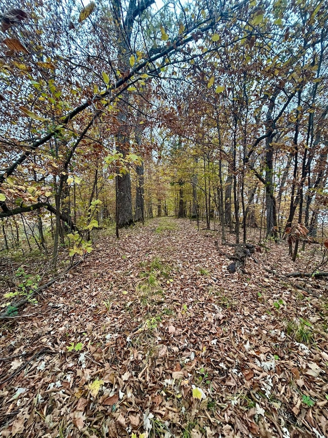 TBD E Lake Lizzie Rd, Pelican Rapids, MN 56572 - photo 3