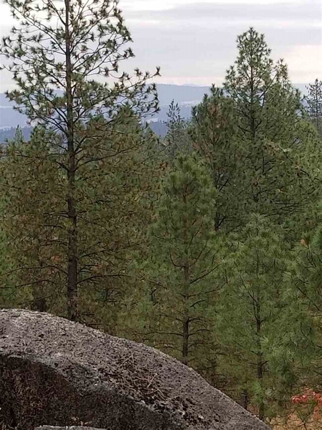 16015 N Austin Parcel B Rd, Spokane, WA 99208 - photo 2