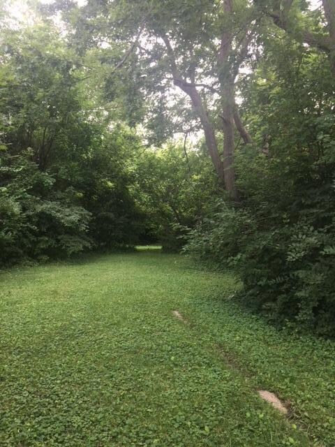 Southfield Back Yard