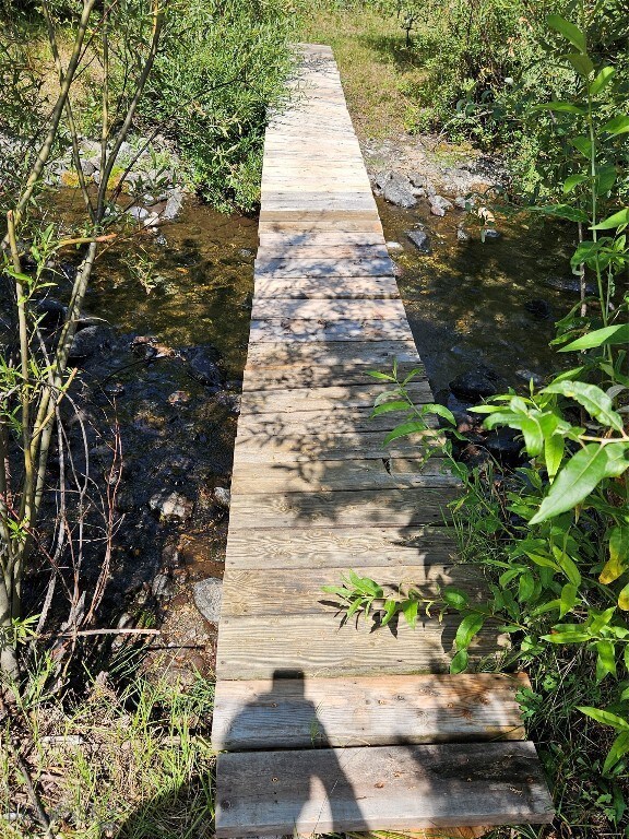 Footbridge near the power pole