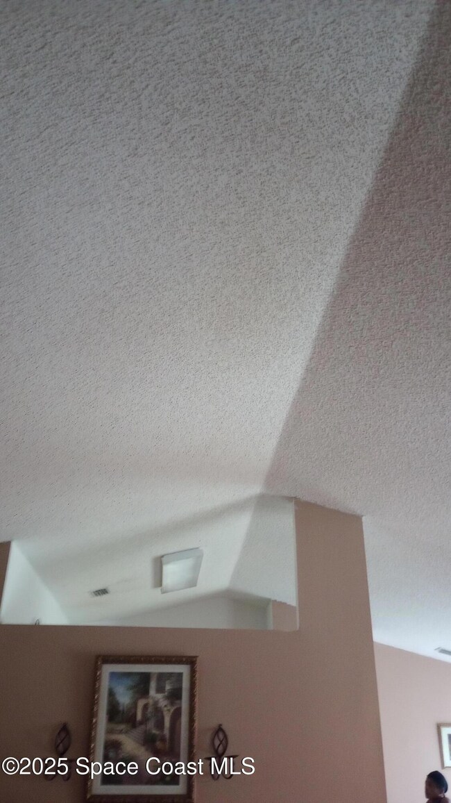 Vaulted Ceiling in living room