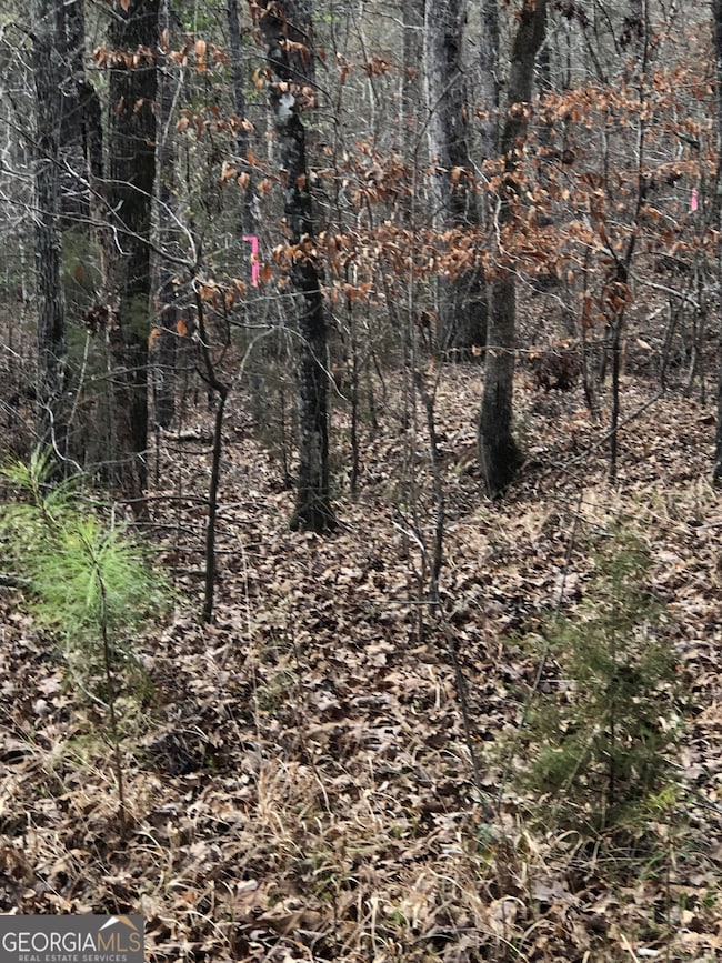 438 Lake Laurel Rd, Milledgeville, GA 31061 - photo 4