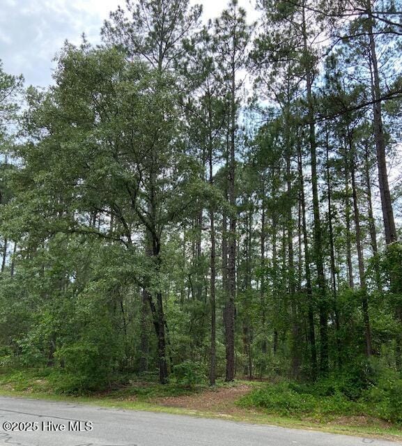 half acre wooded lot