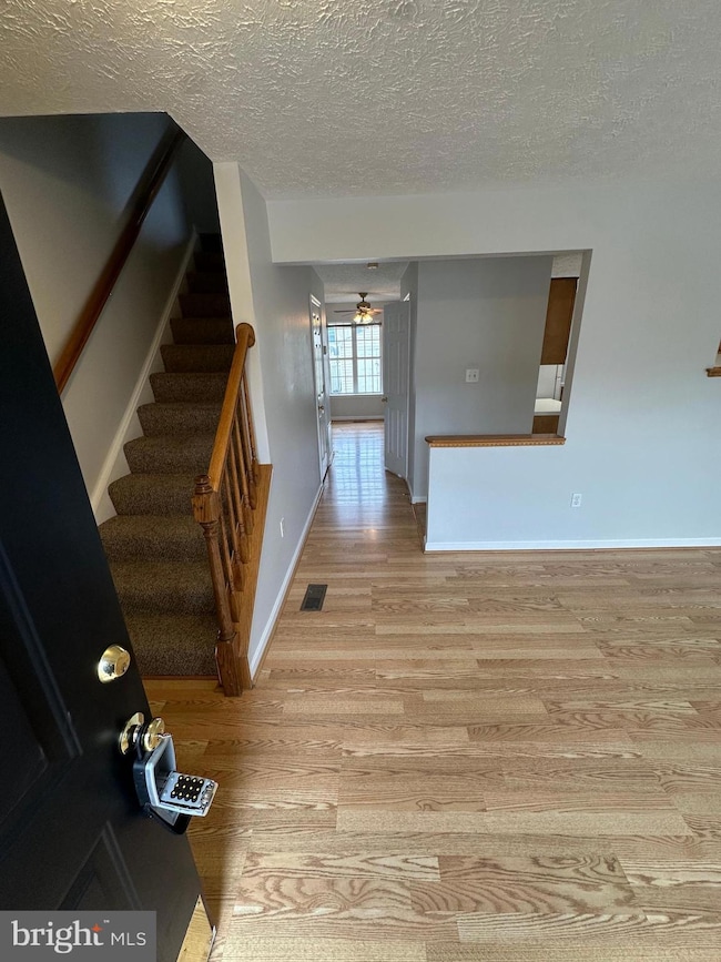 104 Peridot Place, Stephens City, VA 22655 - photo 3