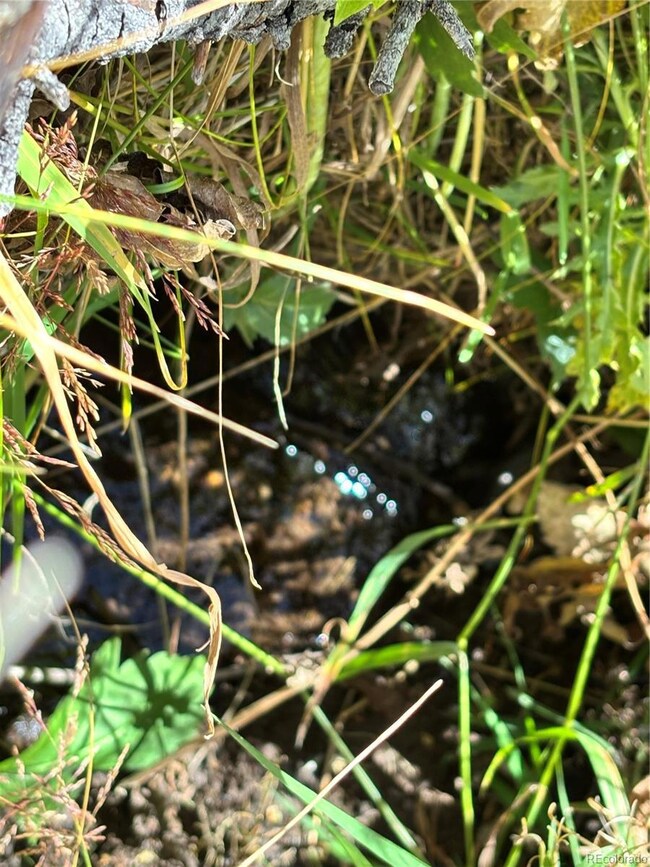 0 Korlkoff Ln unit REC4803573, Fort  Garland, CO 81133 - photo 5