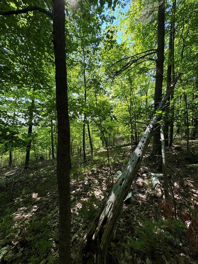 #5 Eagle Ledge Ln, Fish Creek, WI 54212 - photo 6