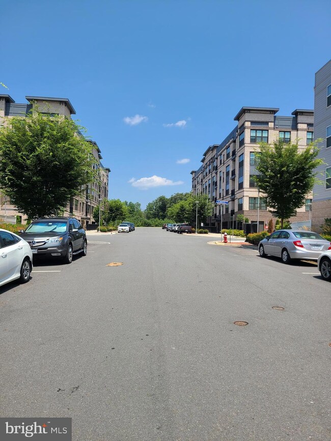 13361 Launders St, Herndon, VA 20171 - photo 6