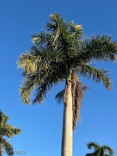 5222 Marsh Mallow Trail, Fort Myers, FL 33905 - photo 7