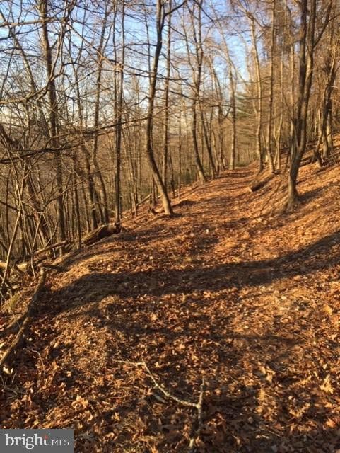 0 Rt 5 10 (Buffalo Hills Road), Franklin, WV 26807 - photo 4
