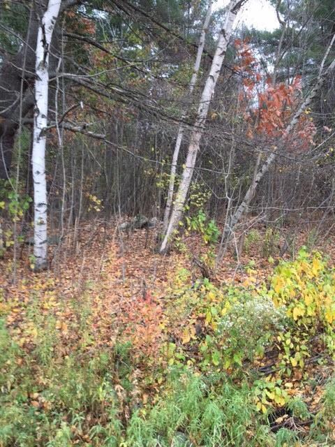 0.68 acre