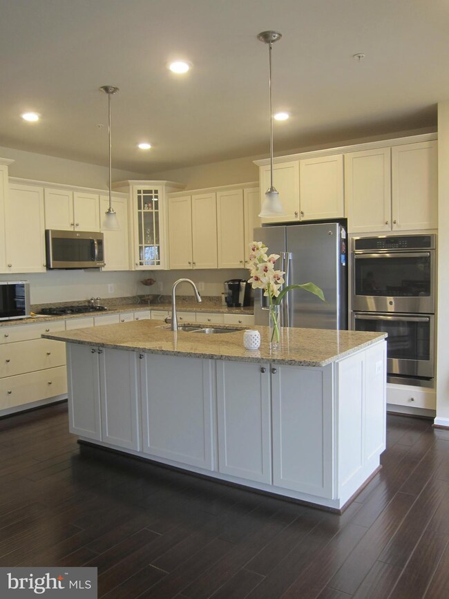 43609 Helmsdale Terrace unit 43609, Chantilly, VA 20152 - photo 7