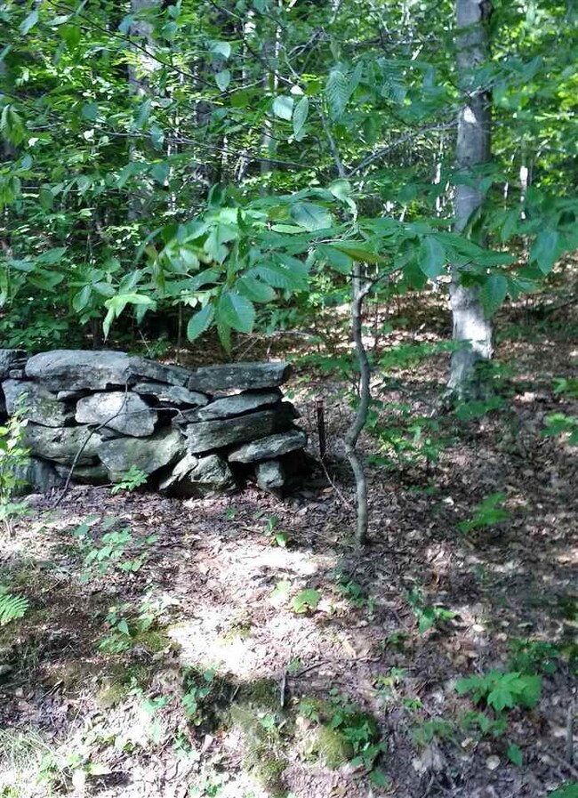 89 Snow Rd unit Lots 7 & 8, Dover, VT 05341 - photo 4