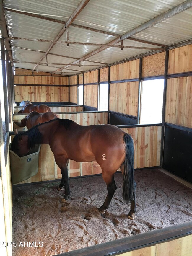 Inside stalls
