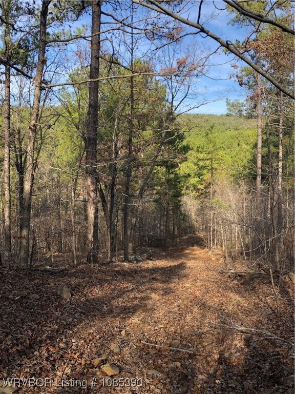 TBD Station Rd, Bokoshe, OK 74930 - photo 5