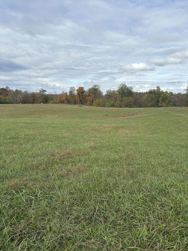 Pine Grove Ch Rd, Vanceburg, KY 41179 - photo 3